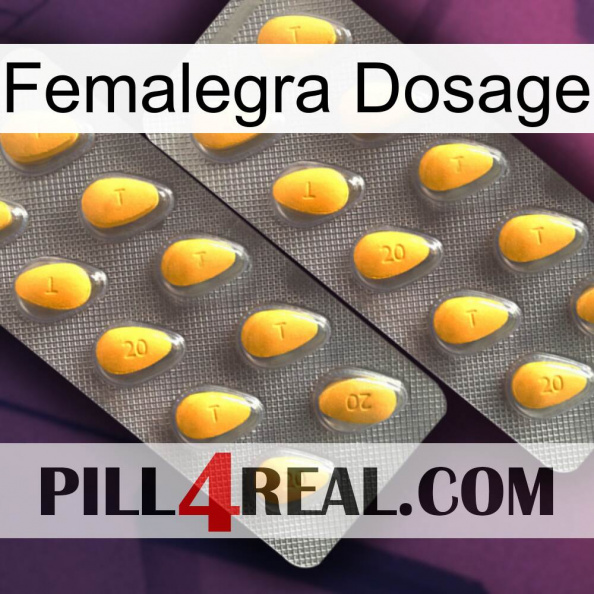 Femalegra Dosage cialis2.jpg